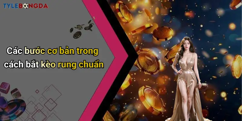 Các bước cơ bản trong cách bắt kèo rung chuẩn