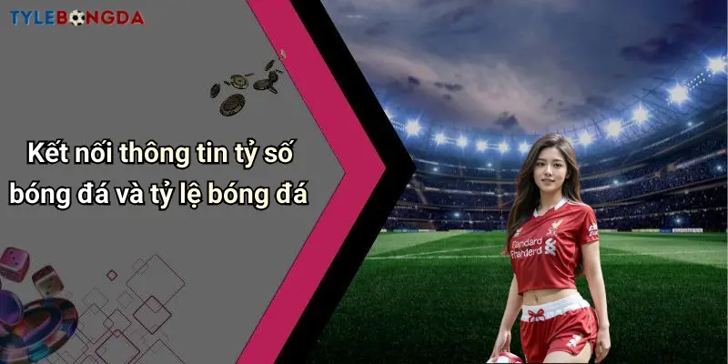 Kết nối thông tin tỷ số bóng đá và tỷ lệ bóng đá