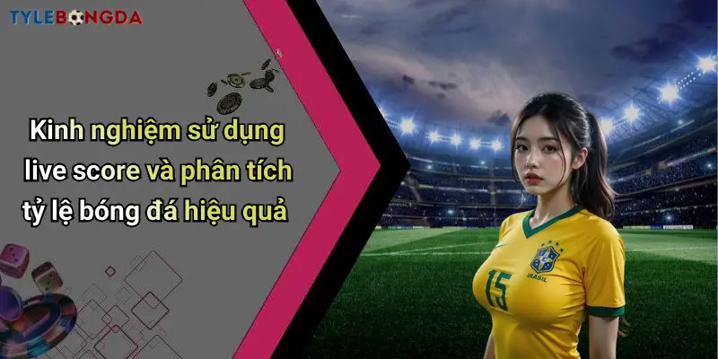 Kinh nghiệm sử dụng live score và phân tích tỷ lệ bóng đá hiệu quả