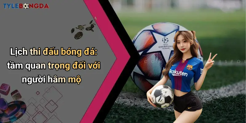 Tỷ lệ bóng đá: vai trò trong dự đoán kết quả giải đấu