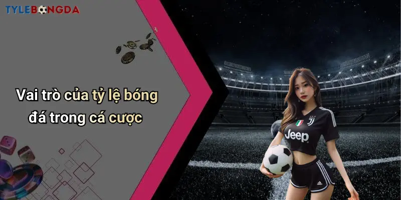 Vai trò của tỷ lệ bóng đá trong cá cược