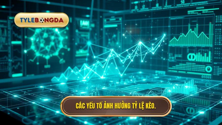 Phân tích đa chiều: Các yếu tố tác động đến tỷ lệ kèo 24h